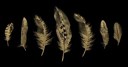 Golden Feather II