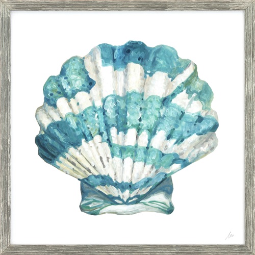 Coastal Shell Schematic I