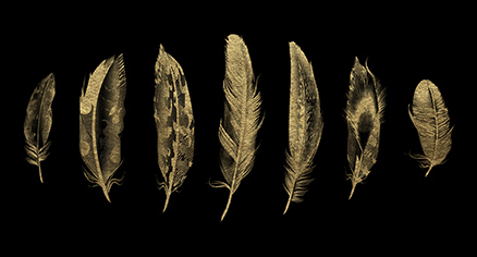 Golden Feather I