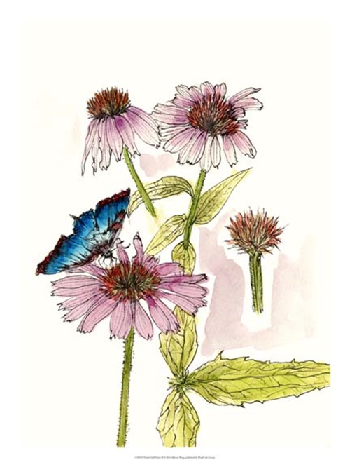 Floral Field Notes II