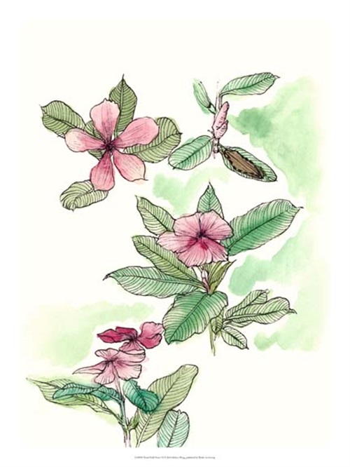 Floral Field Notes VI